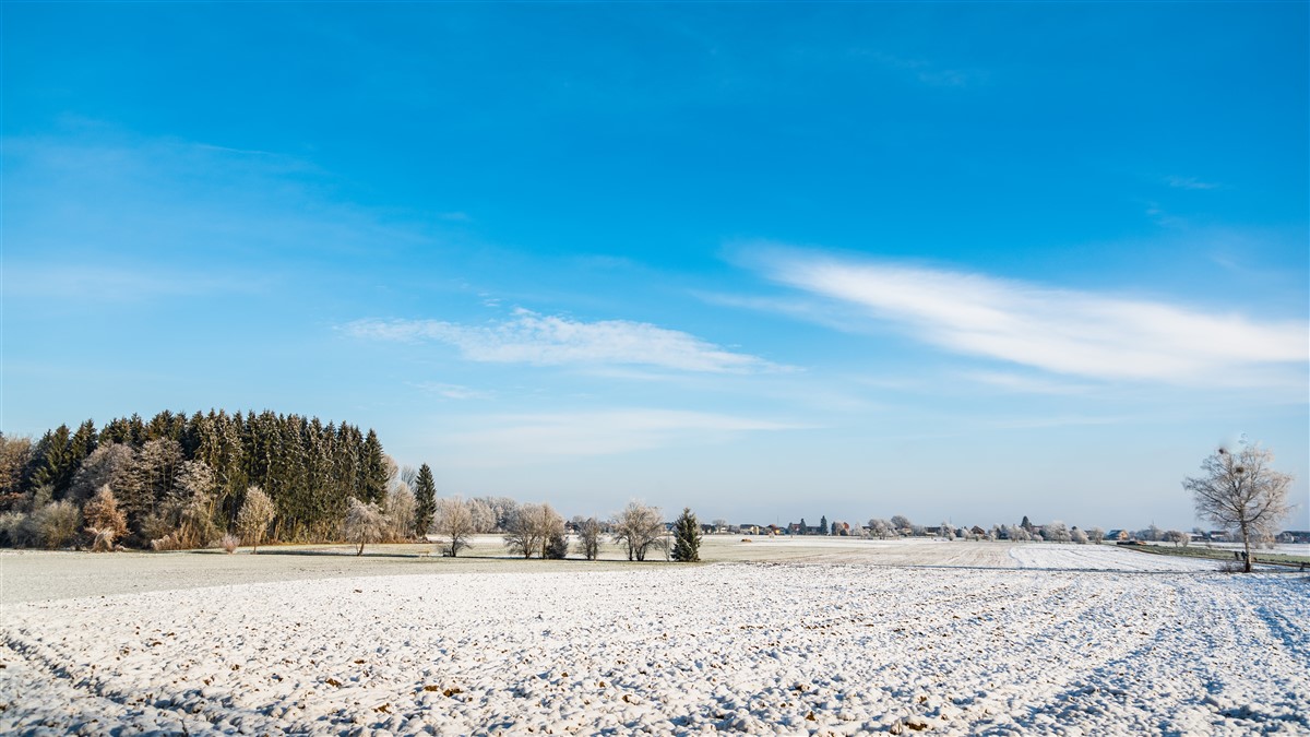 protéger sa pelouse contre le gel hivernal